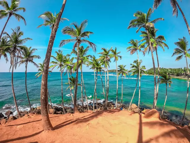 Mirissa Marvel: Captivating Moments on Sri Lanka's Scenic Beachfront